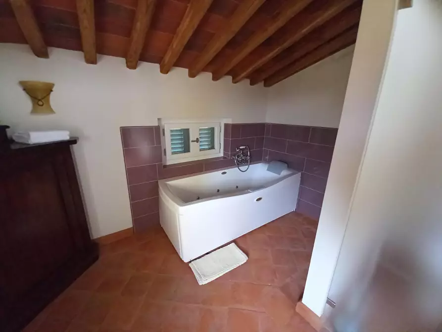 Immagine 25 di Terratetto in vendita  a Capannori