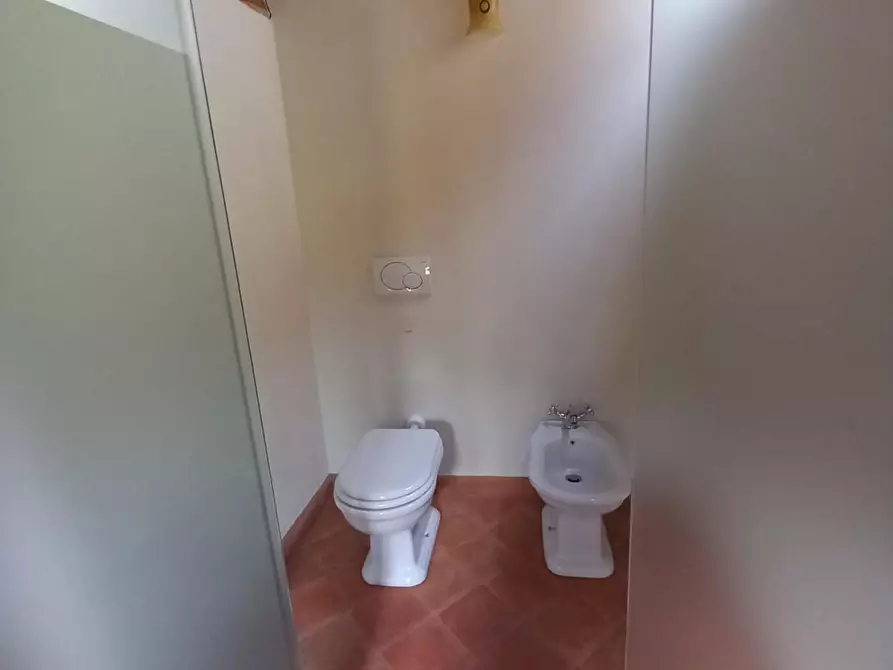 Immagine 24 di Terratetto in vendita  a Capannori