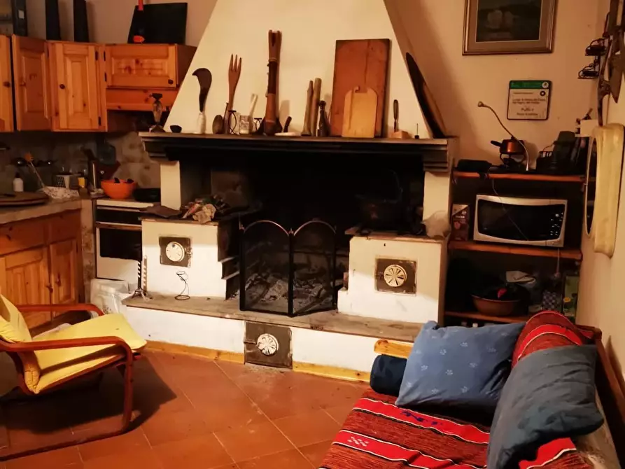 Immagine 7 di Terreno agricolo in vendita  a Livorno