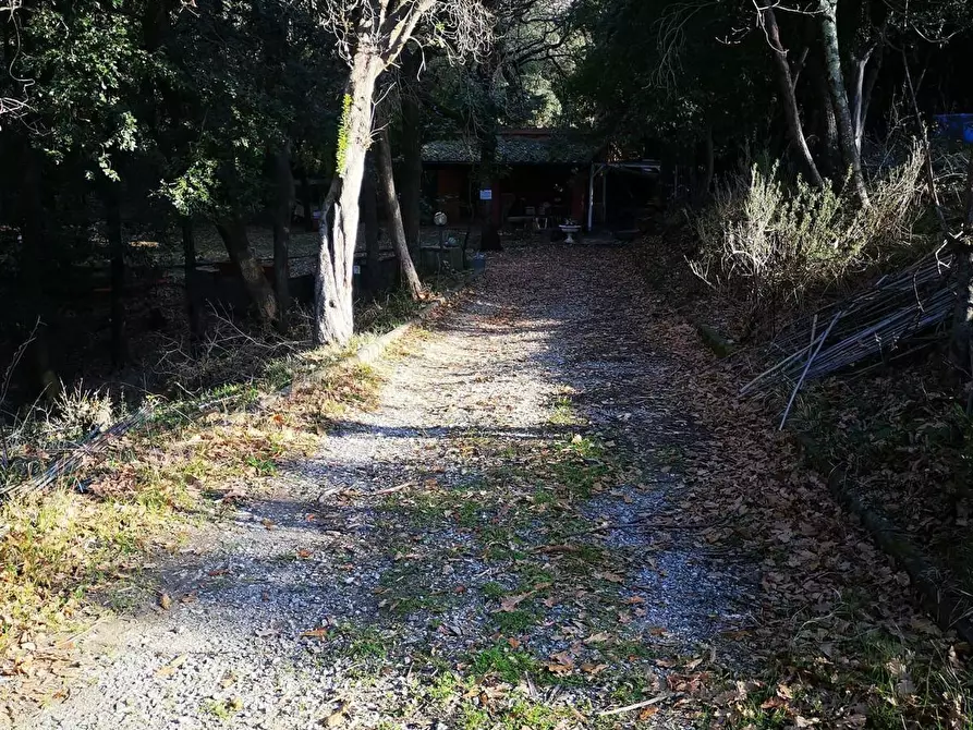 Immagine 12 di Terreno agricolo in vendita  a Livorno