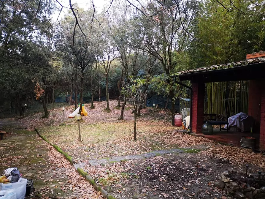 Immagine 13 di Terreno agricolo in vendita  a Livorno