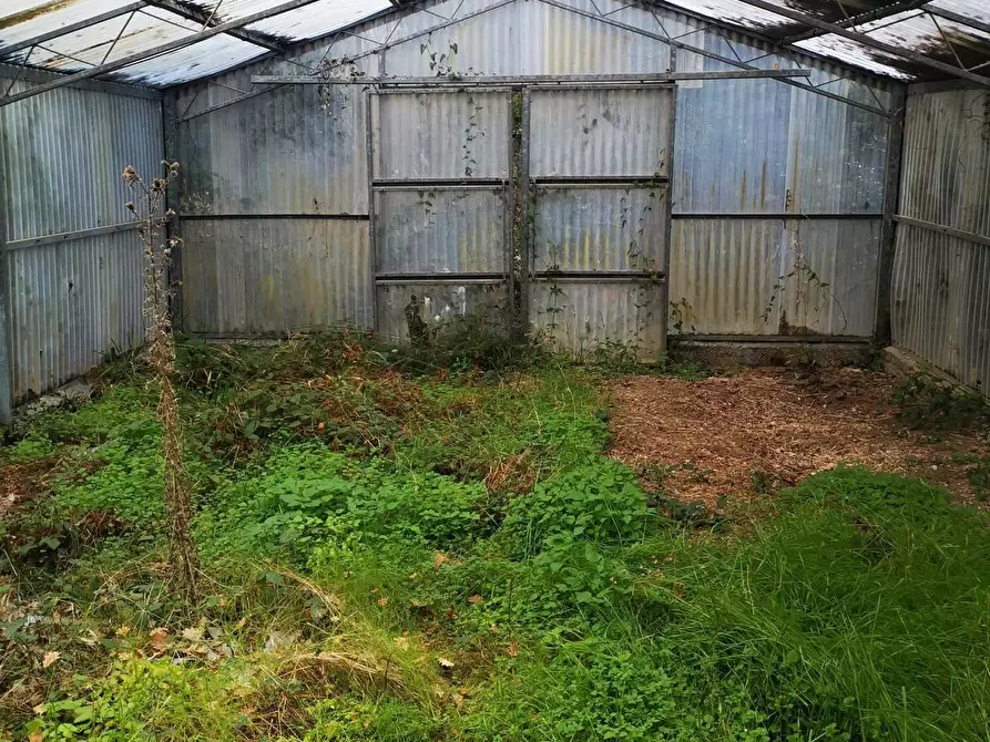 Immagine 17 di Terreno agricolo in vendita  a Livorno
