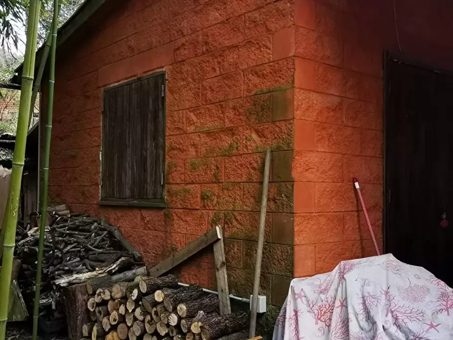 Immagine 5 di Terreno agricolo in vendita  a Livorno