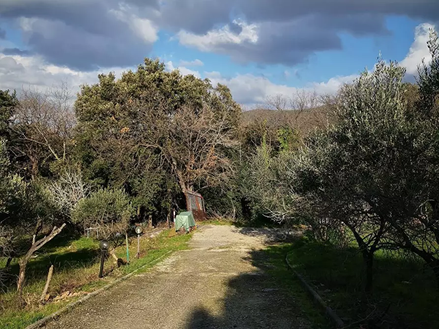 Immagine 10 di Terreno agricolo in vendita  a Livorno