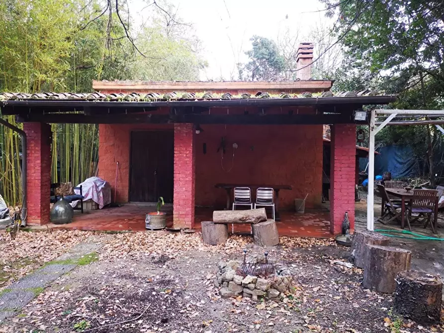 Immagine 1 di Terreno agricolo in vendita  a Livorno
