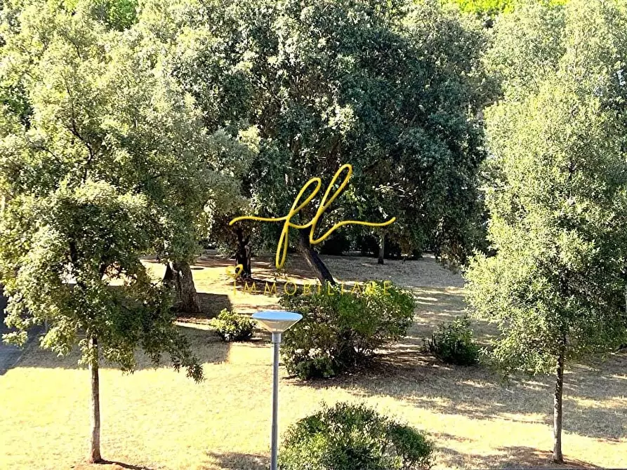 Immagine 10 di Appartamento in vendita  a San Vincenzo