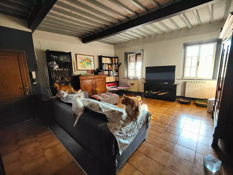 Immagine 4 di Appartamento in vendita  a Pisa