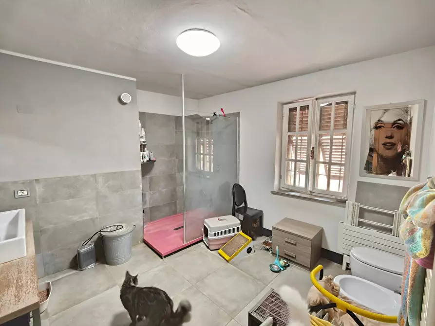 Immagine 12 di Appartamento in vendita  a Pisa