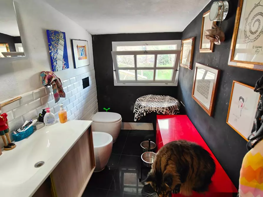 Immagine 11 di Appartamento in vendita  a Pisa