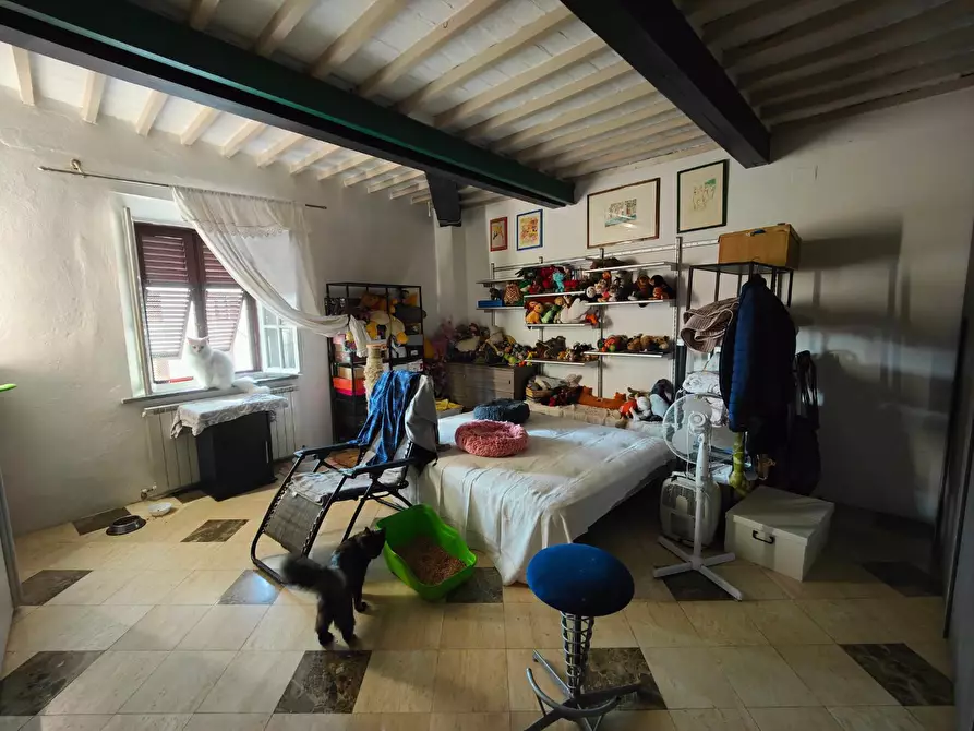 Immagine 21 di Appartamento in vendita  a Pisa