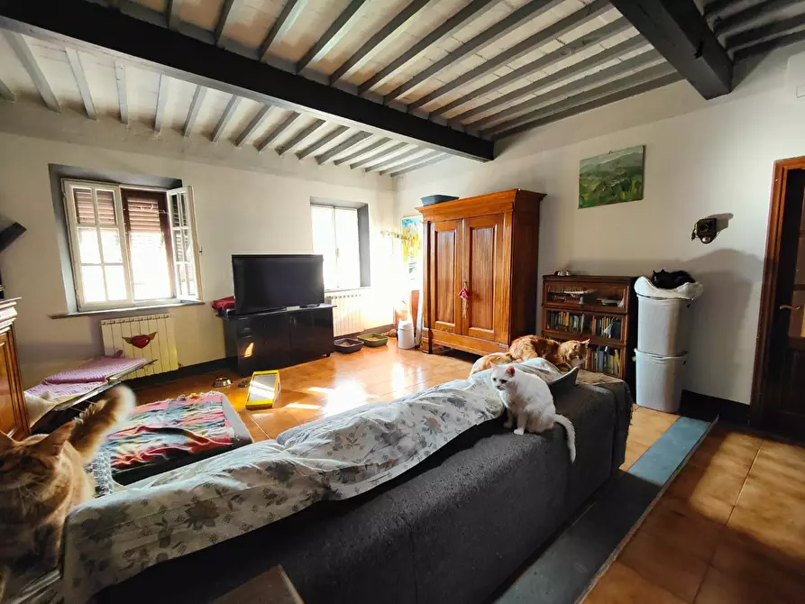 Immagine 5 di Appartamento in vendita  a Pisa