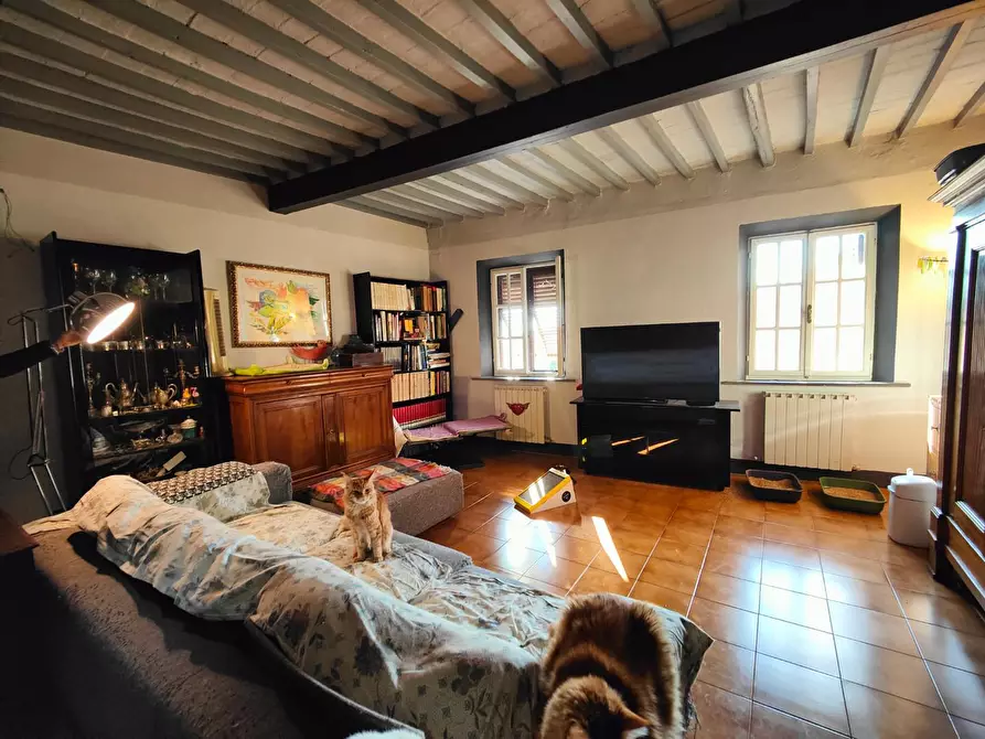 Immagine 3 di Appartamento in vendita  a Pisa