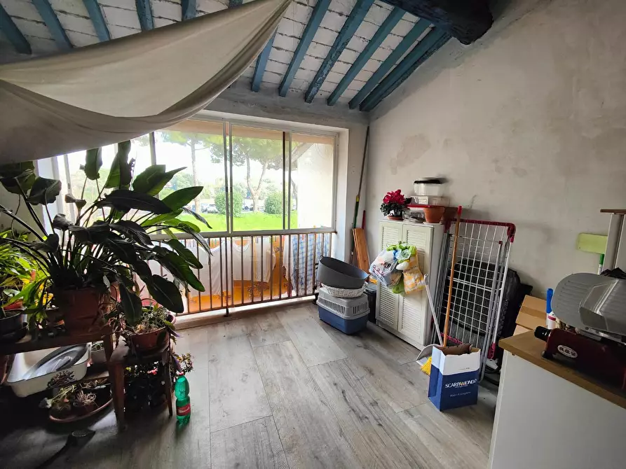 Immagine 9 di Appartamento in vendita  a Pisa