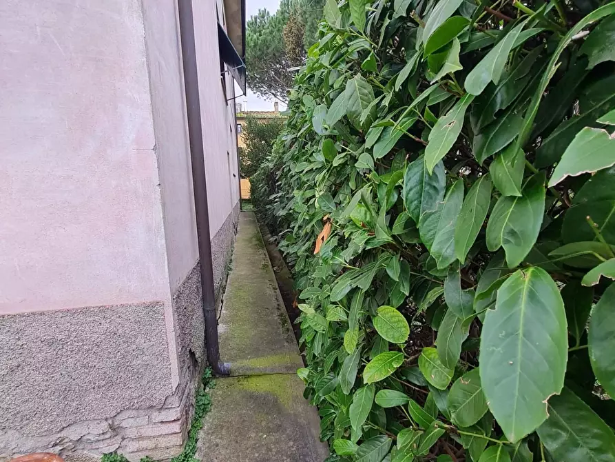 Immagine 47 di Villa in vendita  a Capannoli