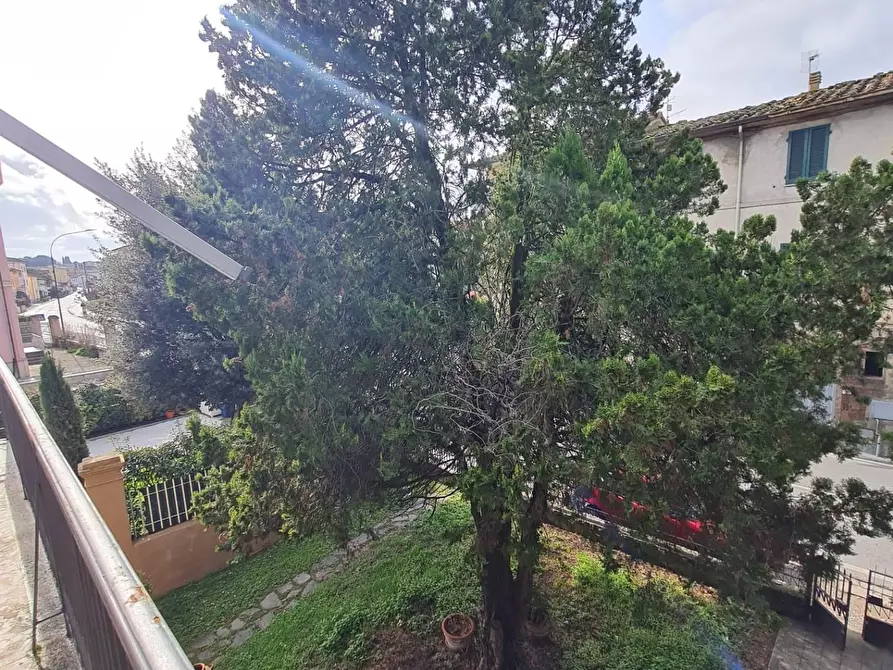 Immagine 48 di Villa in vendita  a Capannoli