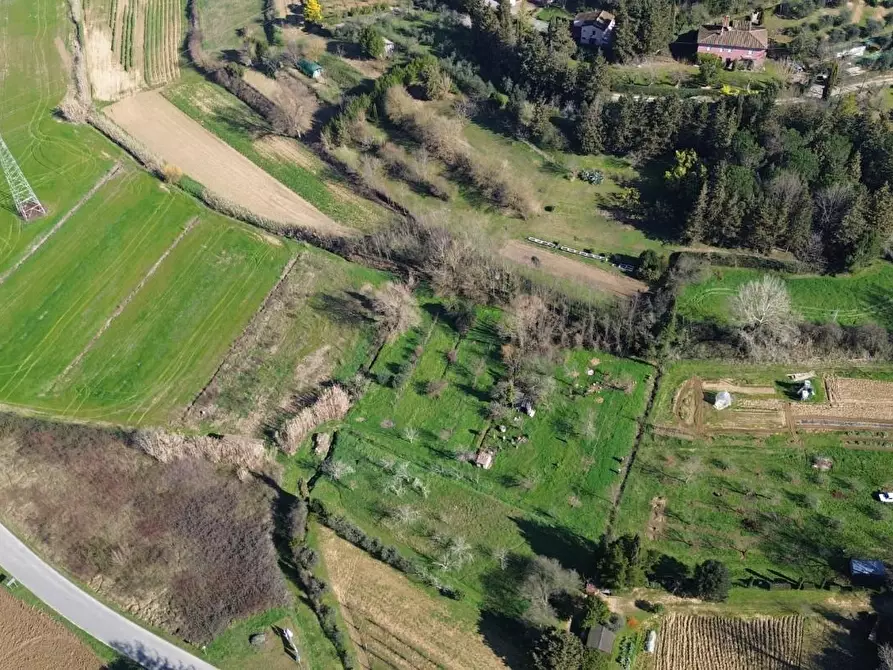 Immagine 4 di Terreno agricolo in vendita  a Casciana Terme Lari