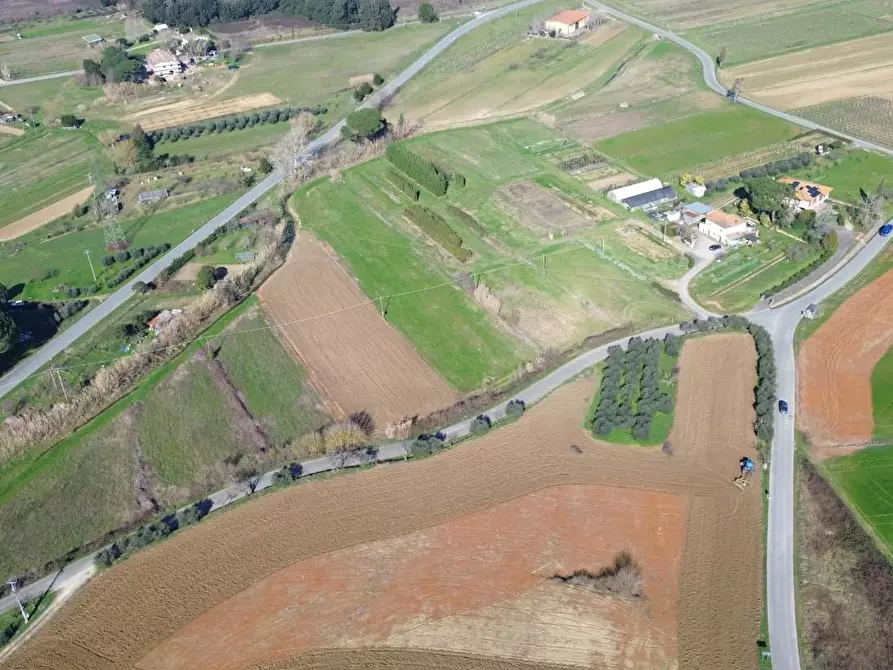 Immagine 7 di Terreno agricolo in vendita  a Casciana Terme Lari