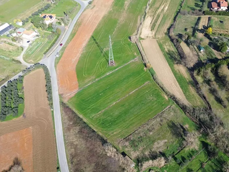 Immagine 2 di Terreno agricolo in vendita  a Casciana Terme Lari
