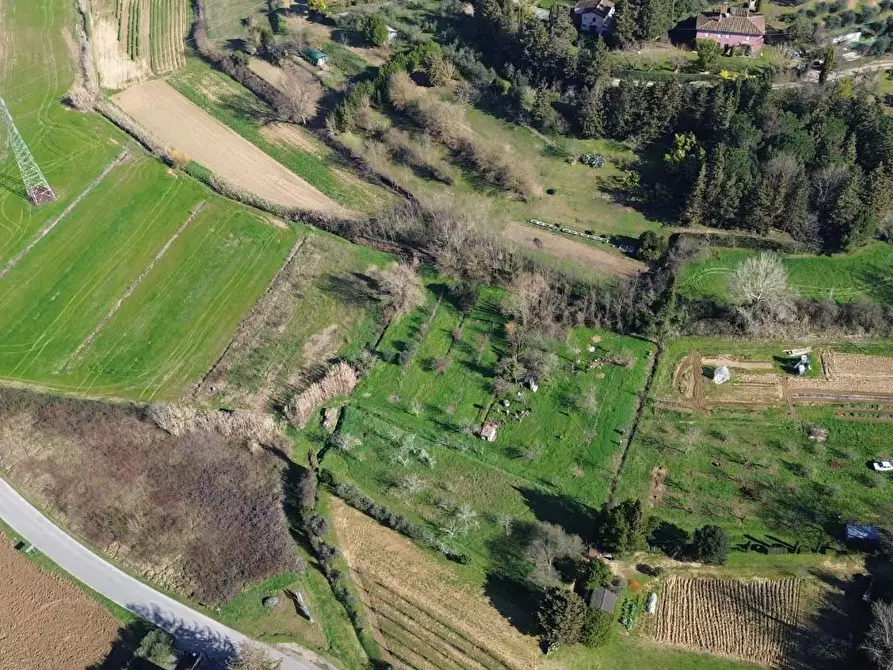 Immagine 5 di Terreno agricolo in vendita  a Casciana Terme Lari