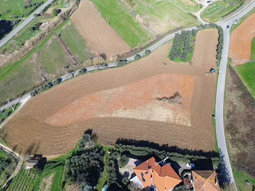 Immagine 6 di Terreno agricolo in vendita  a Casciana Terme Lari