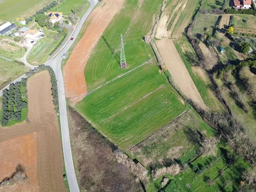 Immagine 3 di Terreno agricolo in vendita  a Casciana Terme Lari