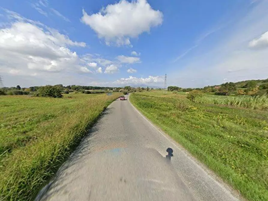 Immagine 8 di Terreno agricolo in vendita  a Casciana Terme Lari