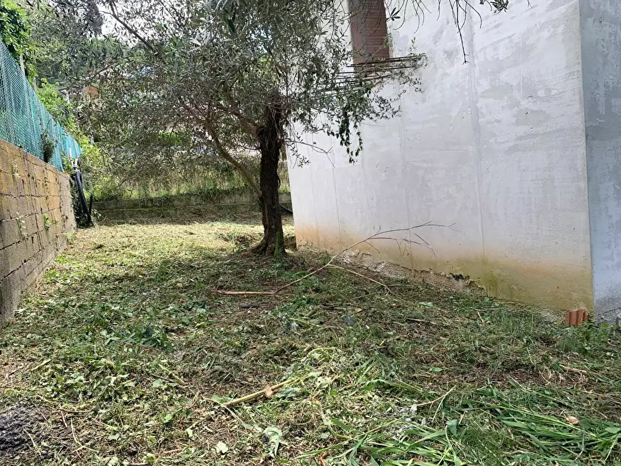 Immagine 21 di Villa in vendita  a Massarosa