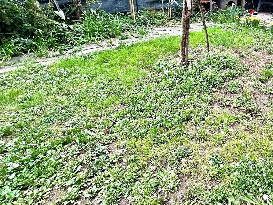 Immagine 4 di Appartamento in vendita  a Montelupo Fiorentino