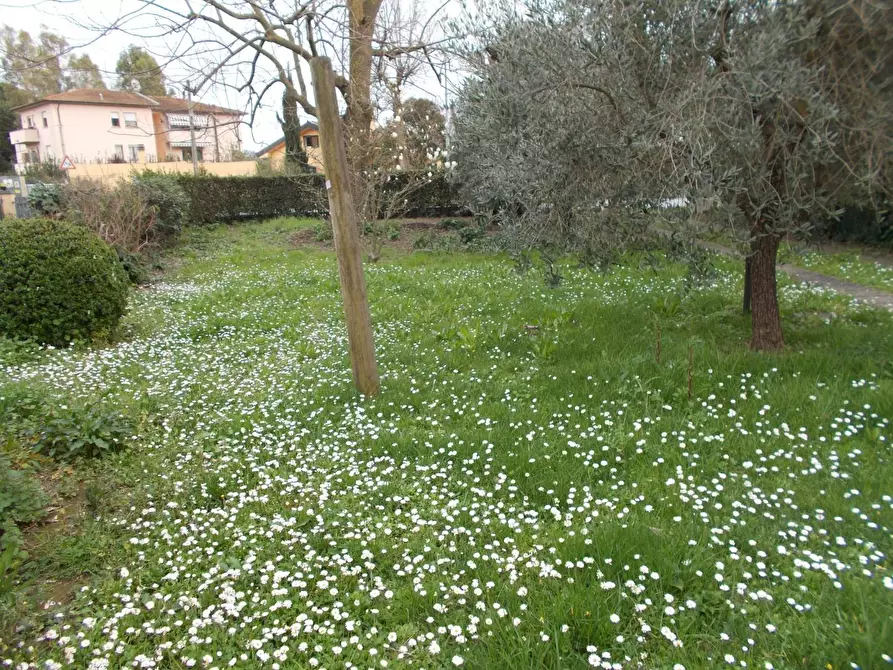 Immagine 6 di Villa in vendita  a Vecchiano