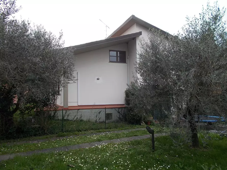 Immagine 3 di Villa in vendita  a Vecchiano