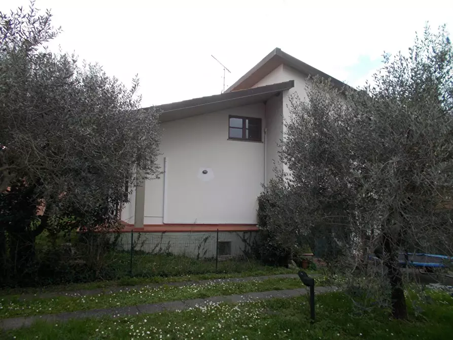 Immagine 8 di Villa in vendita  a Vecchiano