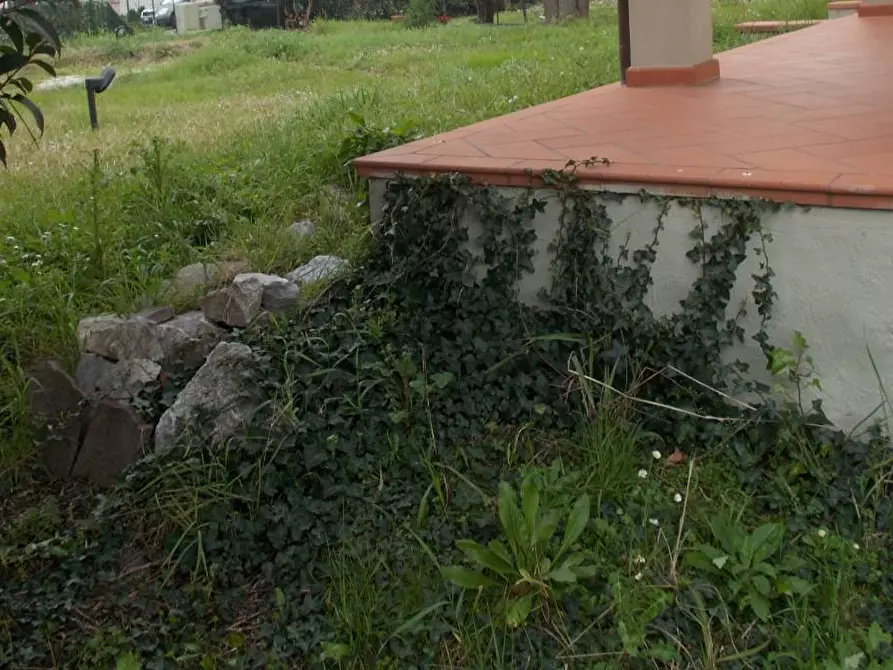 Immagine 5 di Villa in vendita  a Vecchiano