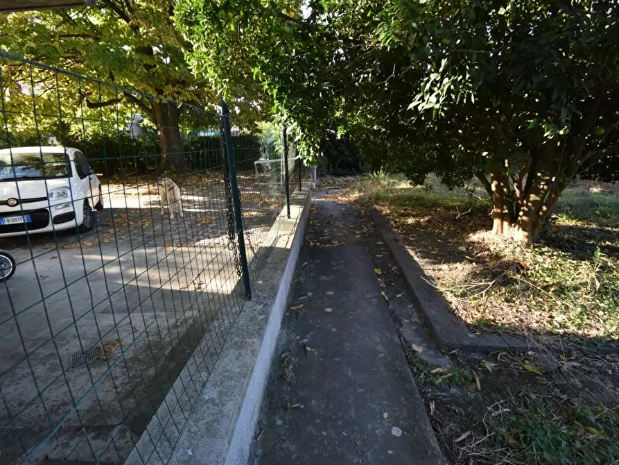 Immagine 34 di Appartamento in vendita  a San Giuliano Terme