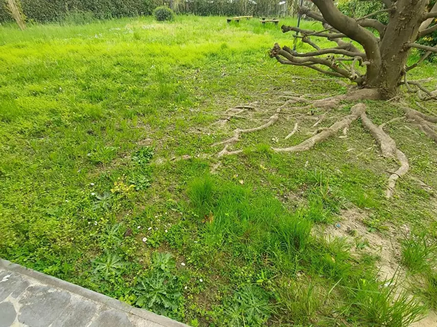 Immagine 34 di Villa in vendita  a Lucca