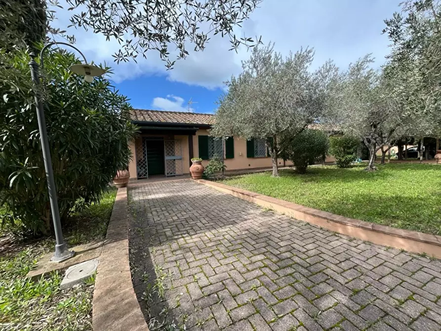 Immagine 53 di Villa in vendita  a Cecina