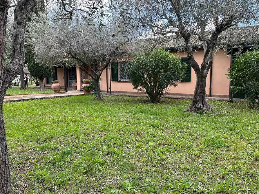 Immagine 46 di Villa in vendita  a Cecina