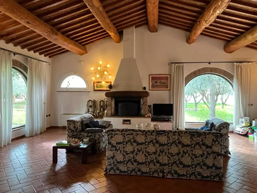 Immagine 4 di Villa in vendita  a Cecina