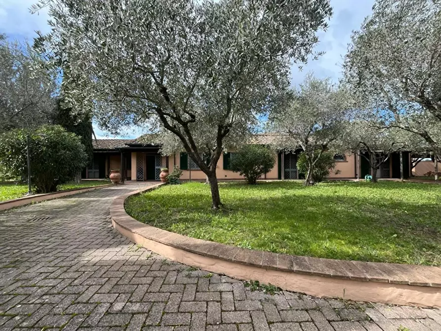 Immagine 52 di Villa in vendita  a Cecina