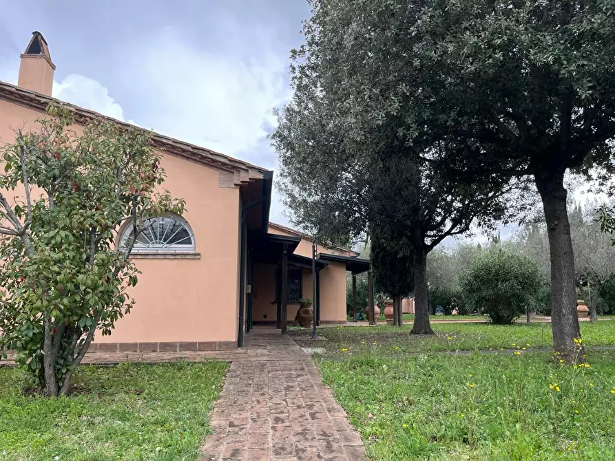 Immagine 50 di Villa in vendita  a Cecina