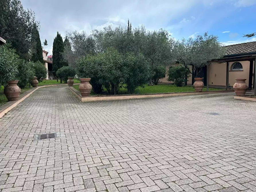 Immagine 48 di Villa in vendita  a Cecina