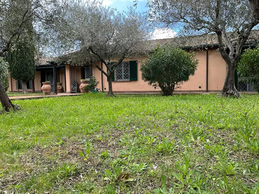 Immagine 45 di Villa in vendita  a Cecina