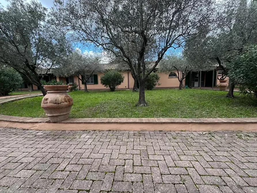 Immagine 64 di Villa in vendita  a Cecina