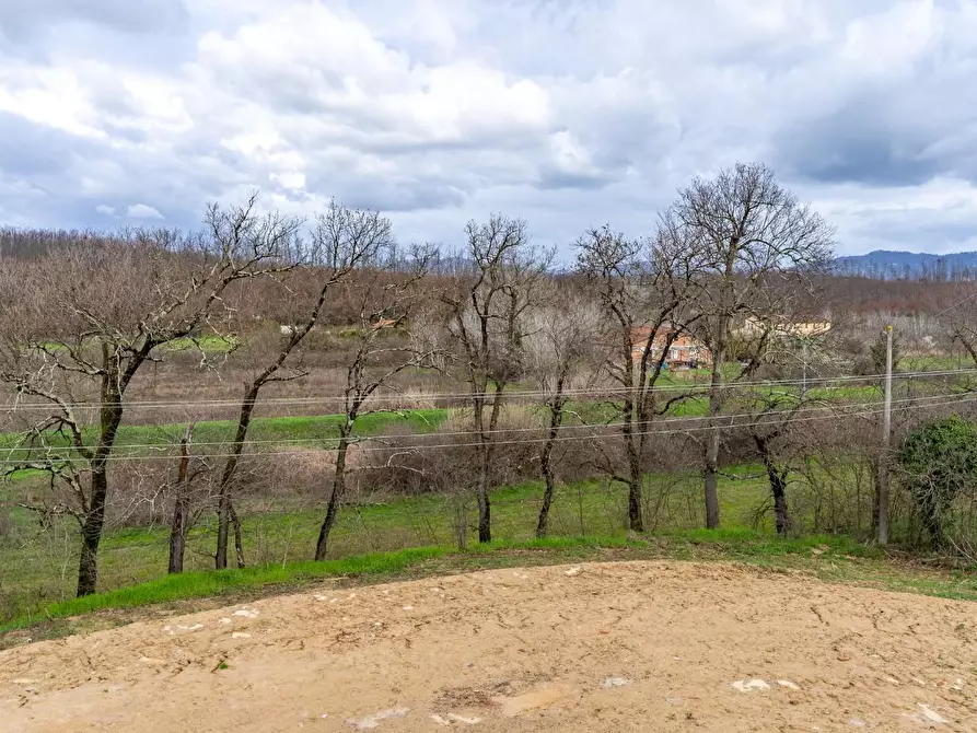 Immagine 39 di Villetta a schiera in vendita  a Cerreto Guidi