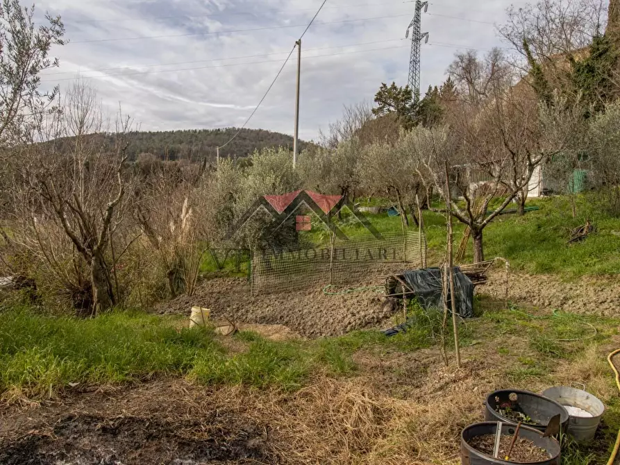 Immagine 3 di Terreno agricolo in vendita  a Pomarance