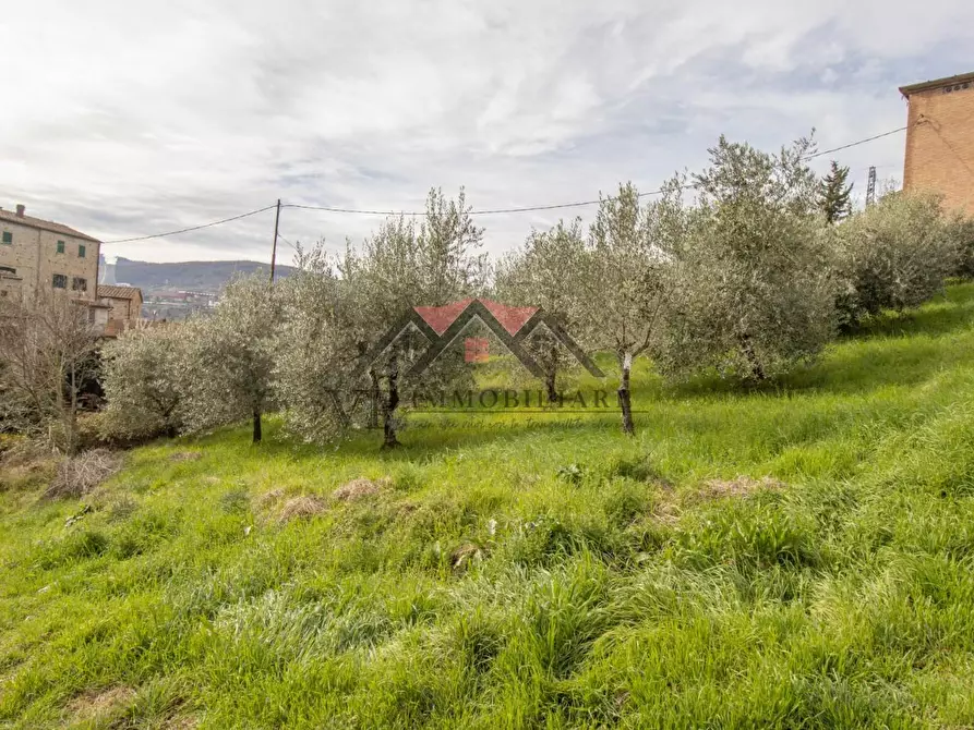 Immagine 2 di Terreno agricolo in vendita  a Pomarance