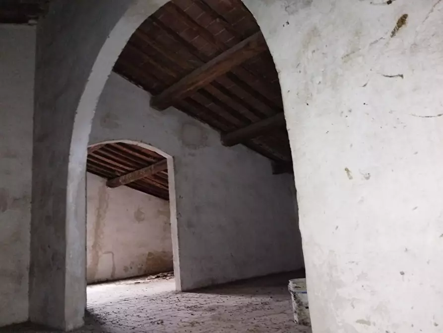 Immagine 6 di Palazzo in vendita  a Palaia