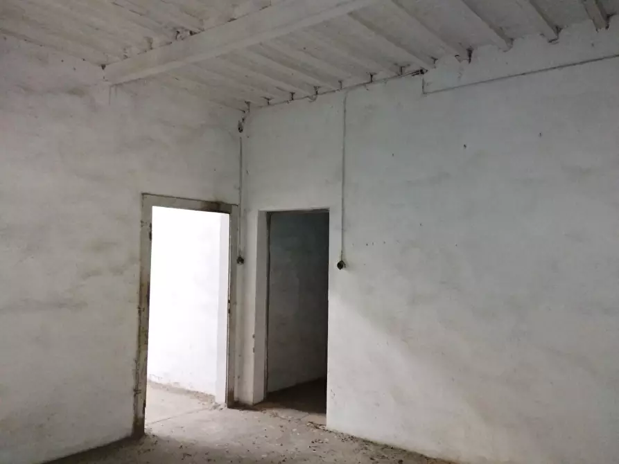 Immagine 2 di Palazzo in vendita  a Palaia