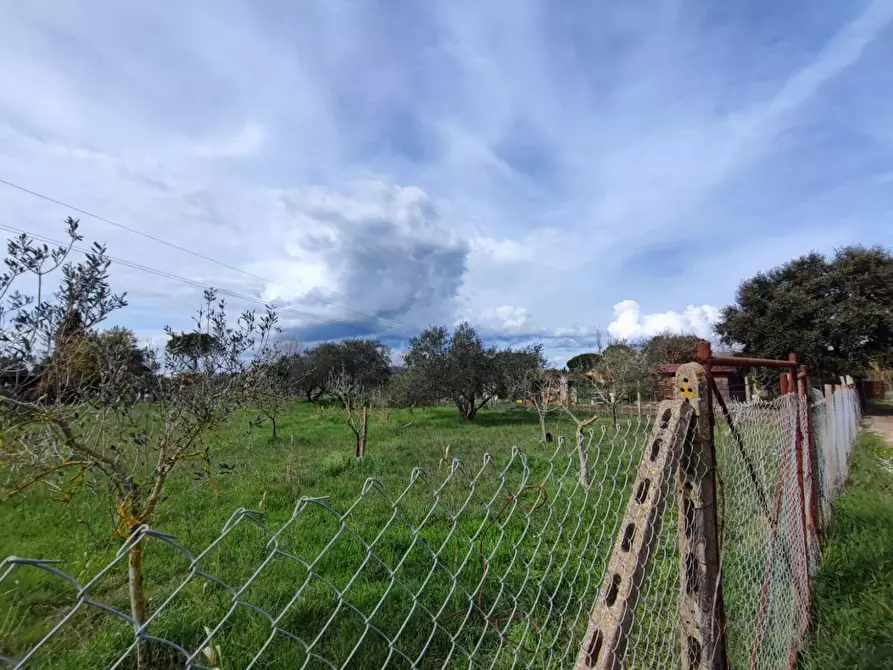 Immagine 2 di Terreno agricolo in vendita  a Grosseto