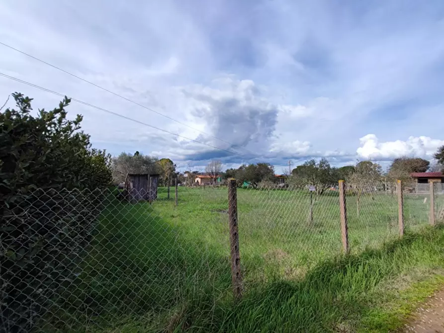 Immagine 5 di Terreno agricolo in vendita  a Grosseto