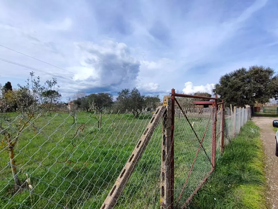 Immagine 1 di Terreno agricolo in vendita  a Grosseto